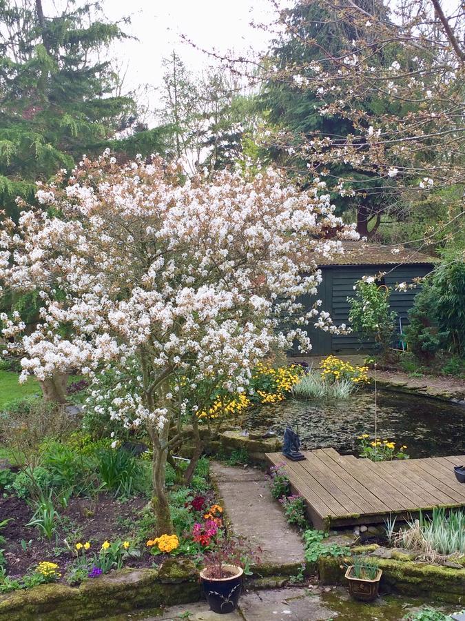 Yew Tree Cottage 莱明斯特 外观 照片