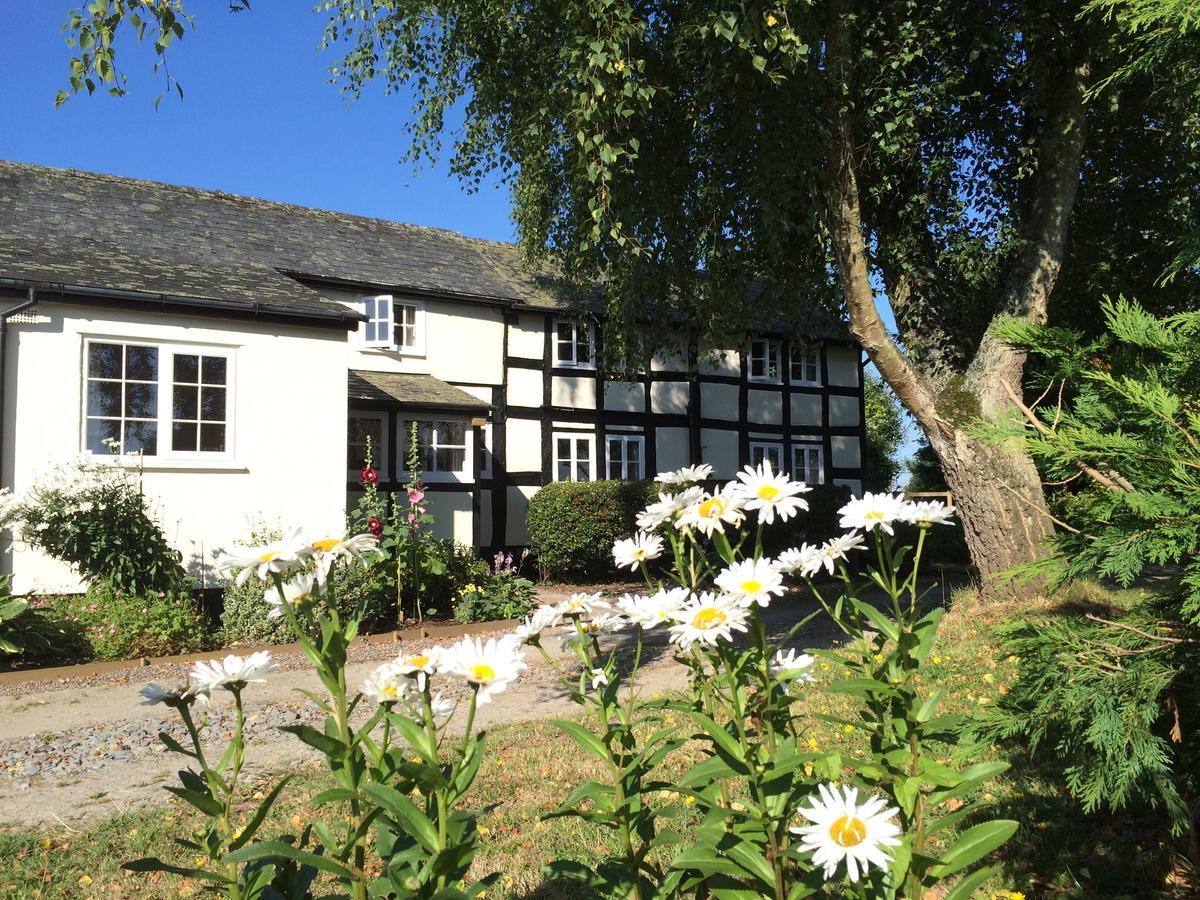 Yew Tree Cottage 莱明斯特 外观 照片